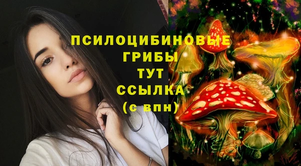 дмт Алзамай